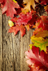 Autumn background/Autumn leaves over wooden background/Thanksgiv