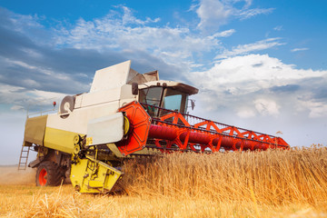 Combine-harvester collecting wheat grain. Golden field in the lights of summer sun.Cloud blue sky....