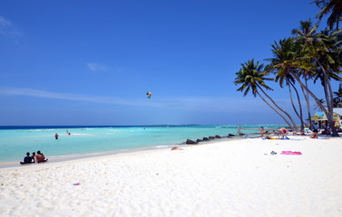 Fototapeta na wymiar Maldivian white sand beach with palm trees, azure water and windsurfing