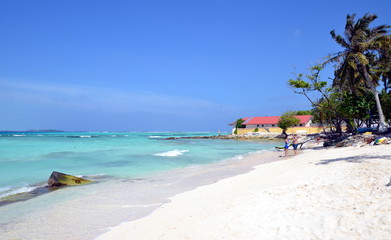 Maldivian white sand beach with palm trees, azure water and windsurfing