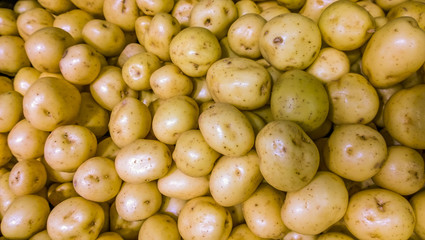 greengrocers
