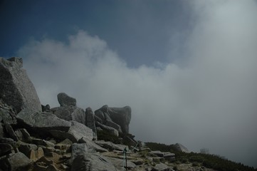 夏山の頂