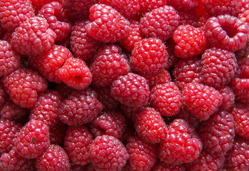 Fresh red raspberries