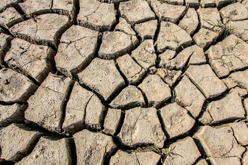 Droughted lake Vogrscek