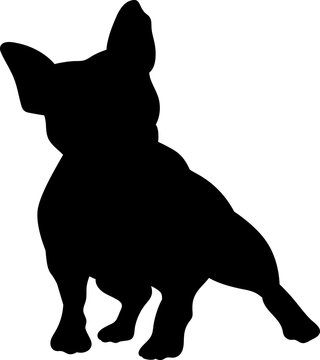 French bulldog vector silhouette