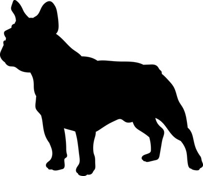 French bulldog vector silhouette