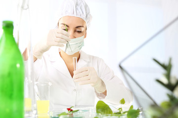 Biotechnolog bada próbki roślin w laboratorium