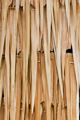 Thatched roofs cottage for background and texture