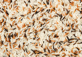 detail of uncooked mix rice grains background