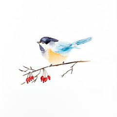 Watercolor Tit on a Winter Berry Sprig (hand drawn)

