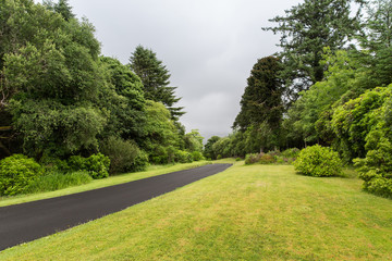asphalt road at connemara in ireland