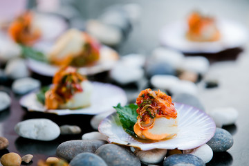grilled scallops in shell on stone, shallow focus