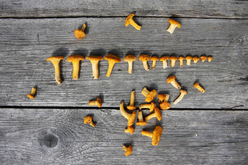 Fresh chanterelle mushrooms on a rustic table 