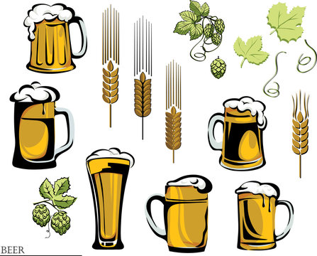 beer, beer mug, hop, vector, , color, black, illustration, elements of graphic registration