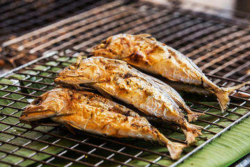 Healthy Food. Fish Cooking. Closeup Of Fresh Grilled ( Fried ) Mackerel