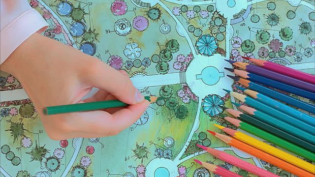 Landscape design. Woman draw a plan for landscaping. Close up shot