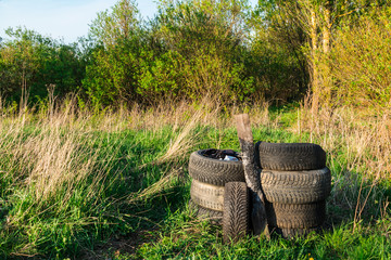 A stack of old tires and charred plank on grass in forest at sunny day.
