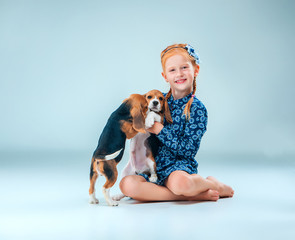 The happy girl and two beagle puppie on gray background