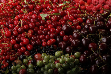 berry background