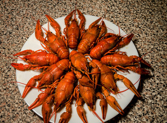 red crawfish with beer