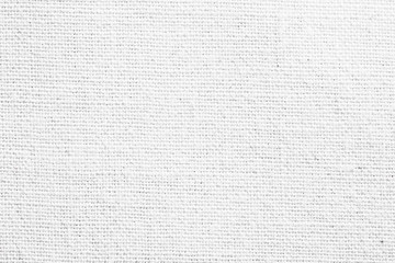 White canvas texture.