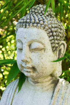 Buddha head meditation balance spa concept