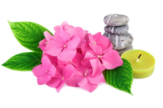 Spa stones zen with pink flowers and candle on white background