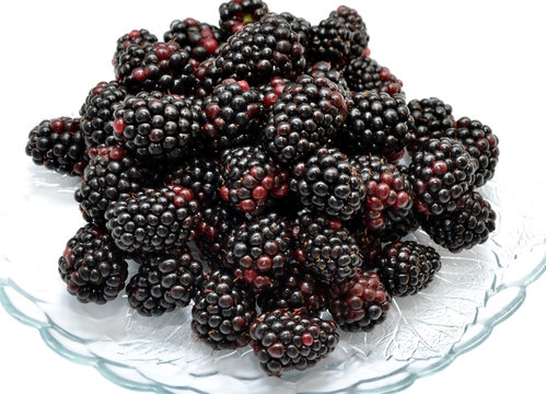 
The photo shows a dish with dewberry on a white background