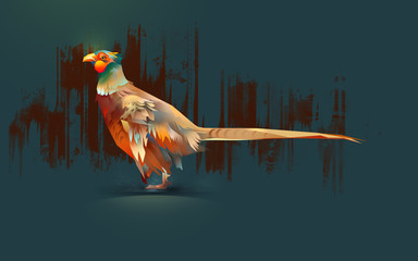 pheasant on a dark background