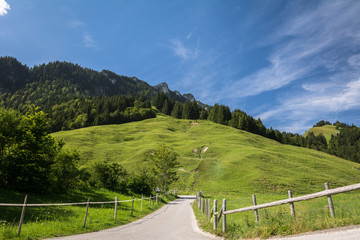 Fototapeta na wymiar Die Natur in den Bergen in der Schweiz