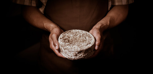 French tomme cheese in the hands of a cheesemaker - obrazy, fototapety, plakaty