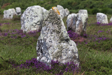 Carnac stones