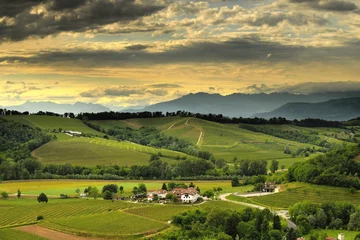Fotobehang Heuvel Oostelijke heuvels van Friuli Venezia Giulia (Italië)