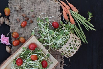 Green young sunflower seedling and tomatoes salad.