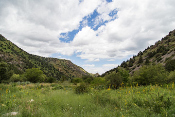 Nature in the mountains of Kazakhstan