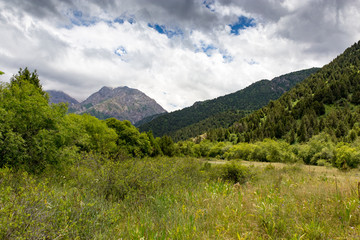 Fototapeta na wymiar Nature in the mountains of Kazakhstan