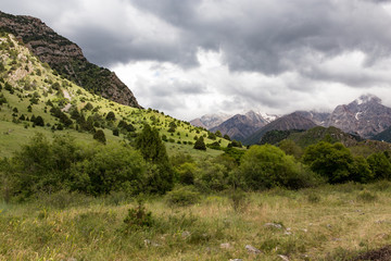 Nature in the mountains of Kazakhstan