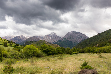 Nature in the mountains of Kazakhstan