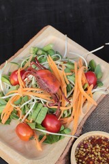 Salad spicy young sunflowers seedling is delicious.
