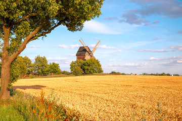 Windmühle mit Feld, Baum und Himmel