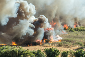 Fototapeta na wymiar Nube de humo y llamas en un incendio 