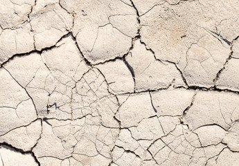 cracked earth as a background. texture
