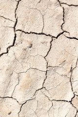 cracked earth as a background. texture