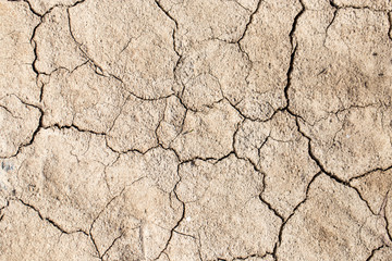 cracked earth as a background. texture