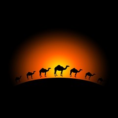 Fototapeta na wymiar Camel