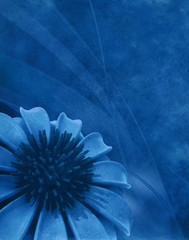 Flowers grunge background