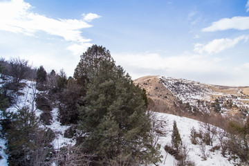 Fototapeta na wymiar Nature in the Tien Shan mountains in winter. Kazakhstan