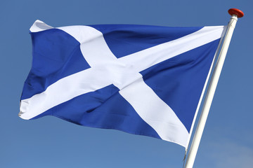 Scottish flag blowing in the wind