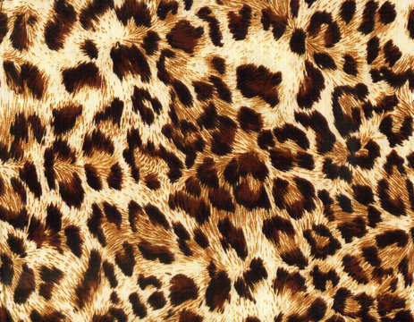 leopard backgrounds pattern
