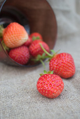 Fresh ripe strawberry on a background of burlap